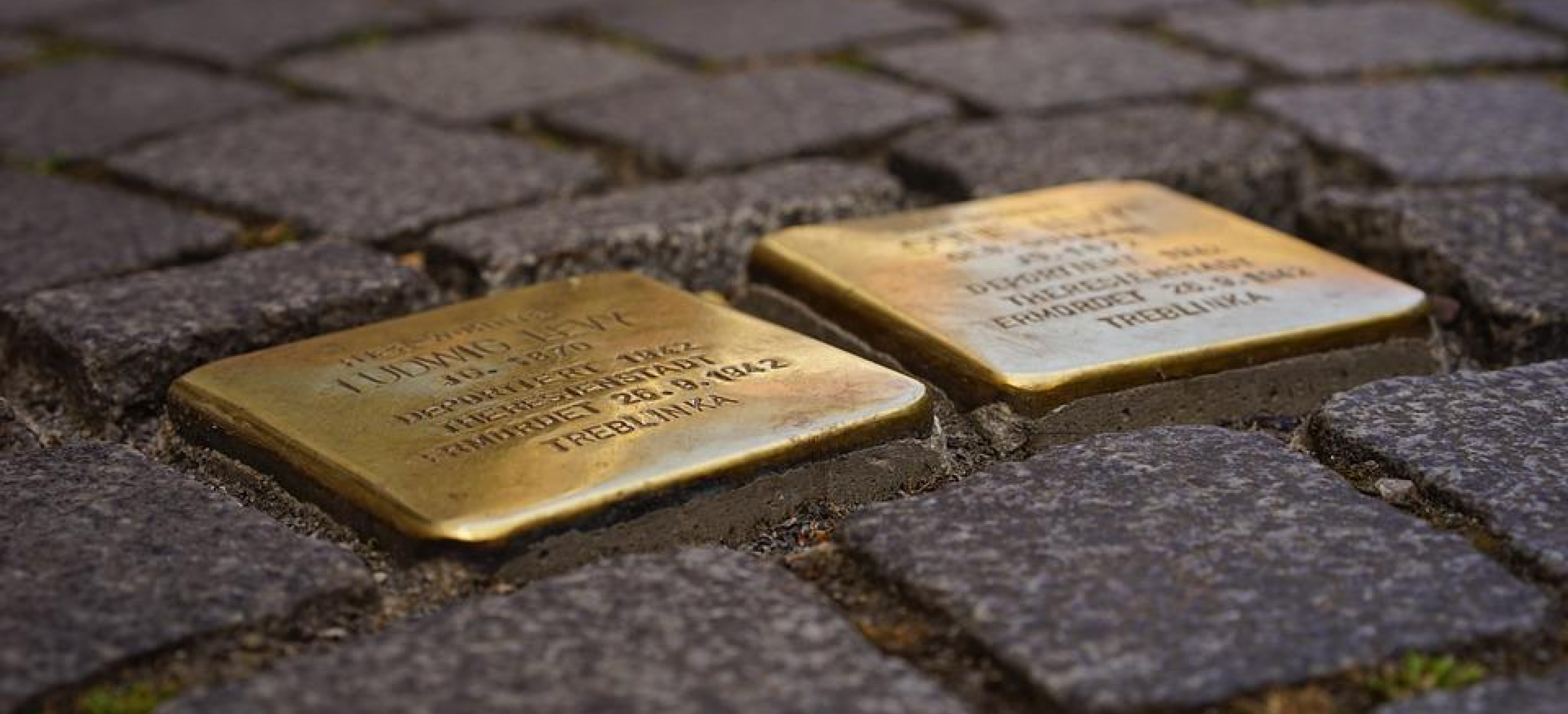 Stolpersteine app overview — brass-toned interface across key screens